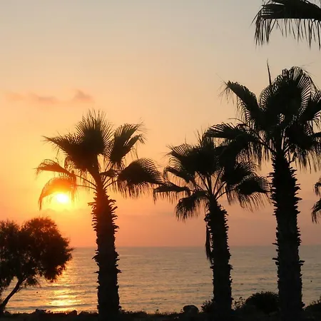 The Paradise By Taimoura * Paphos