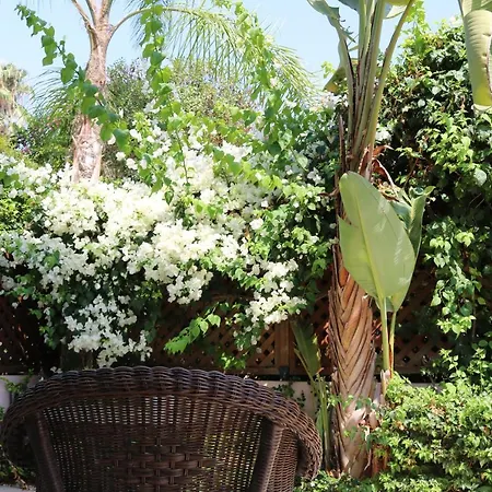 The Paradise By Taimoura *