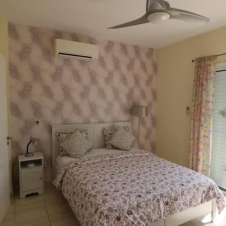 The Paradise By Taimoura