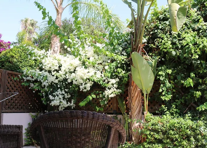 The Paradise By Taimoura *