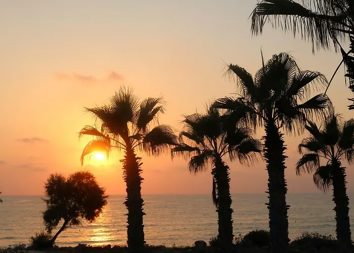 The Paradise By Taimoura * Paphos